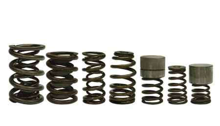 valve springs come in a variety of sizes and configurations 
</p>
</p>
	</div><!-- .entry-content -->

		<div class=